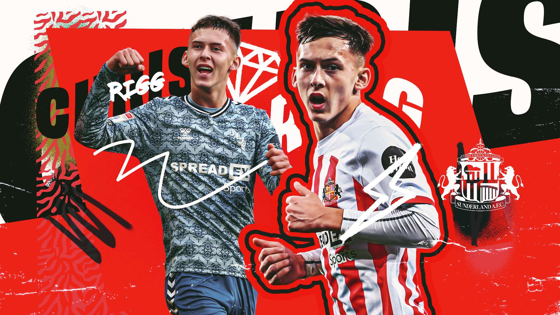 许多优质的 许多优质的