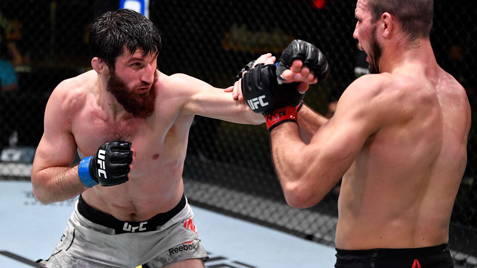 今天所见的 今天所见的