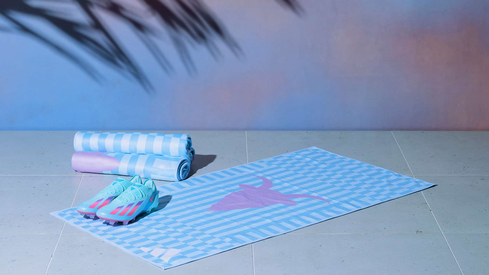 国籍身份的 国籍身份的