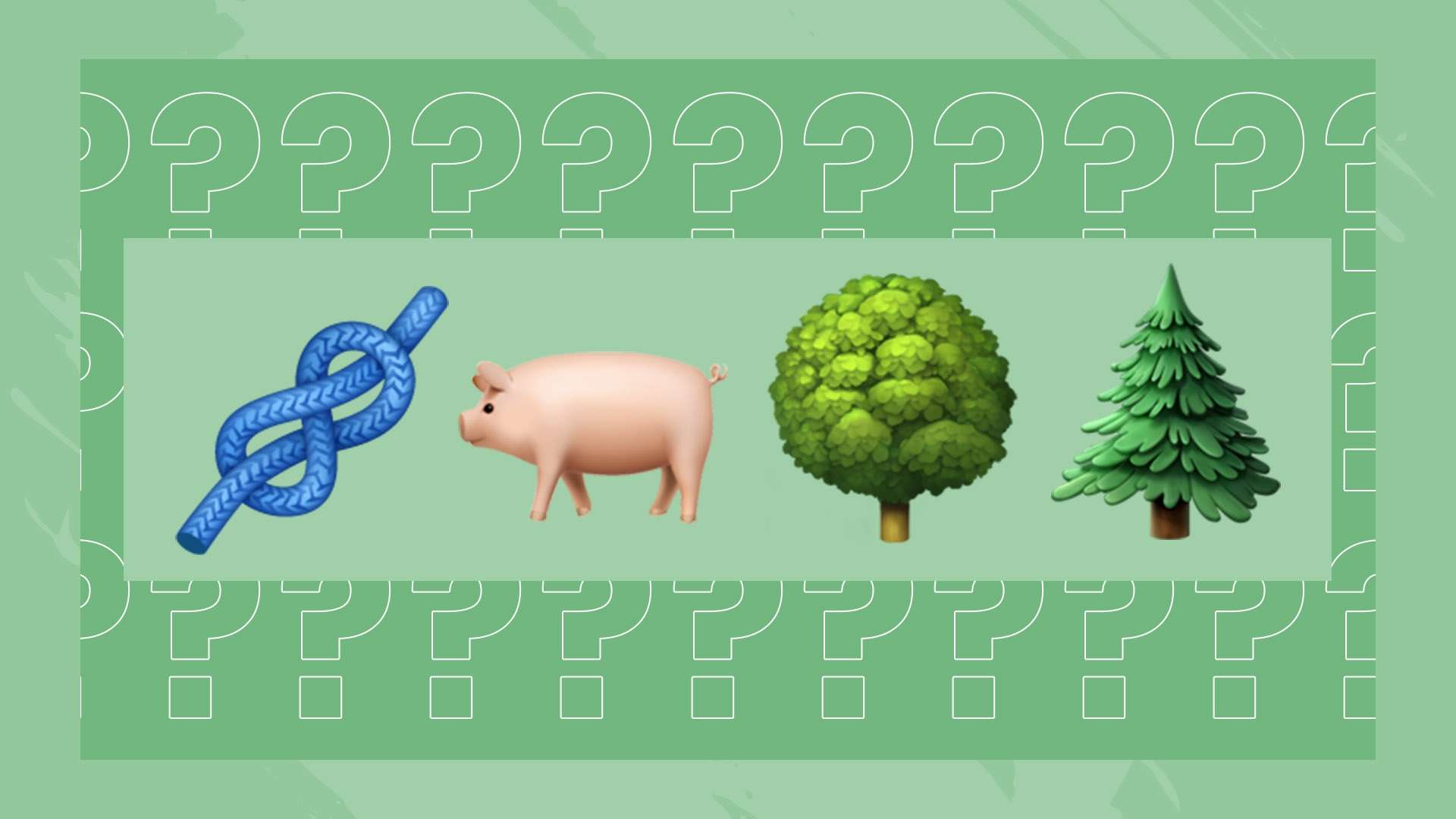 并且如果能 并且如果能