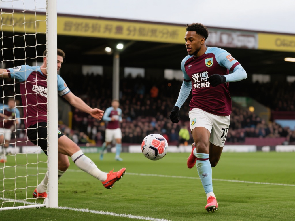 为球队效力 为球队效力